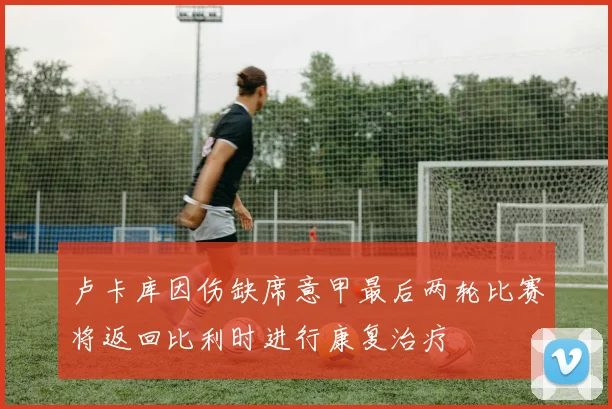 卢卡库因伤缺席意甲最后两轮比赛将返回比利时进行康复治疗